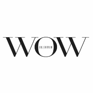 Wow Color logo